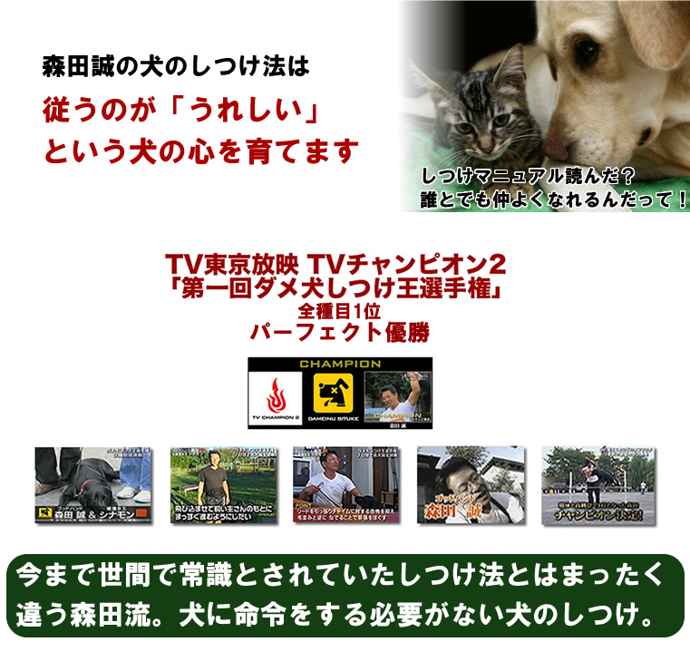 ���̂���,���ݕ�,���g�C��,��������