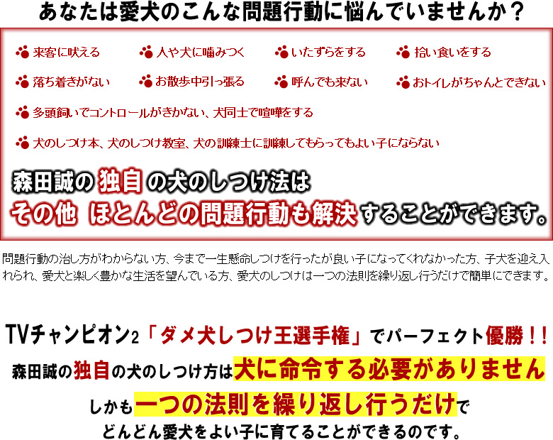 ���̂���,���ݕ�,���g�C��,��������